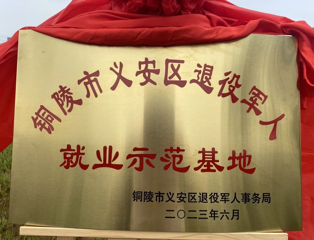 Z6尊龙旗舰厅(中国)官方网站